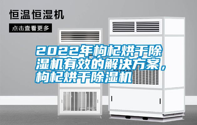 2022年枸杞烘干除濕機有效的解決方案，枸杞烘干除濕機