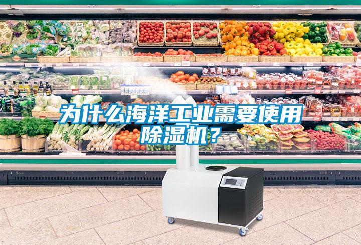 為什么海洋工業(yè)需要使用除濕機？