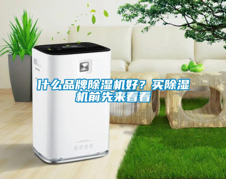 什么品牌除濕機好？買除濕機前先來看看