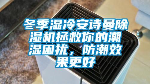 冬季濕冷安詩曼除濕機拯救你的潮濕困擾，防潮效果更好