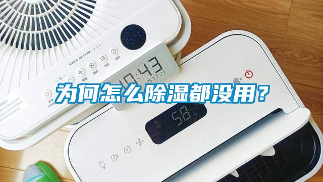 為何怎么除濕都沒用？