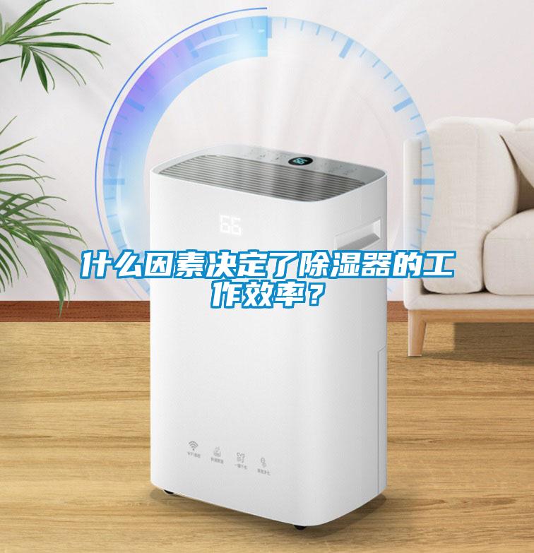 什么因素決定了除濕器的工作效率？