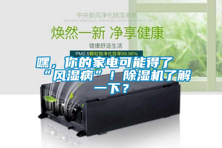 嘿，你的家電可能得了“風(fēng)濕病”！除濕機了解一下？