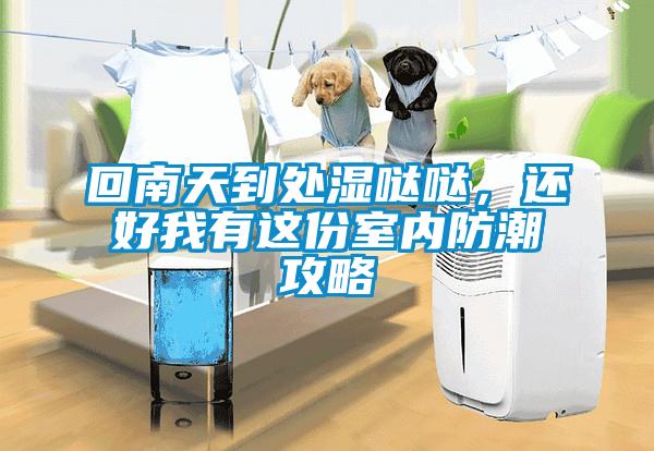 回南天到處濕噠噠，還好我有這份室內(nèi)防潮攻略