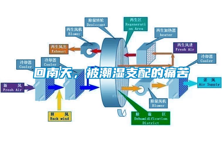 回南天，被潮濕支配的痛苦