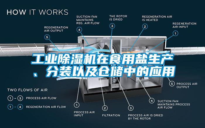 工業(yè)除濕機(jī)在食用鹽生產(chǎn)、分裝以及倉(cāng)儲(chǔ)中的應(yīng)用