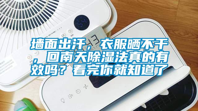 墻面出汗，衣服曬不干，回南天除濕法真的有效嗎？看完你就知道了