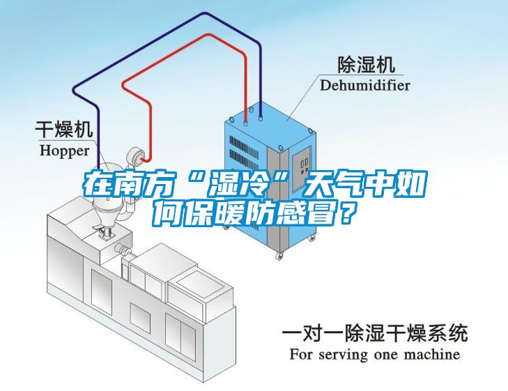 在南方“濕冷”天氣中如何保暖防感冒？