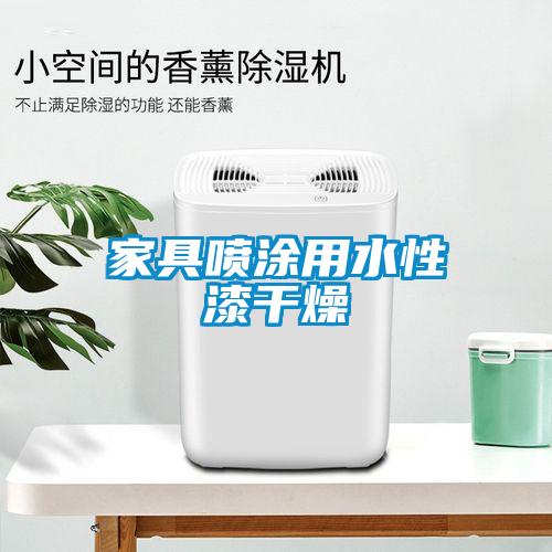 家具噴涂用水性漆干燥