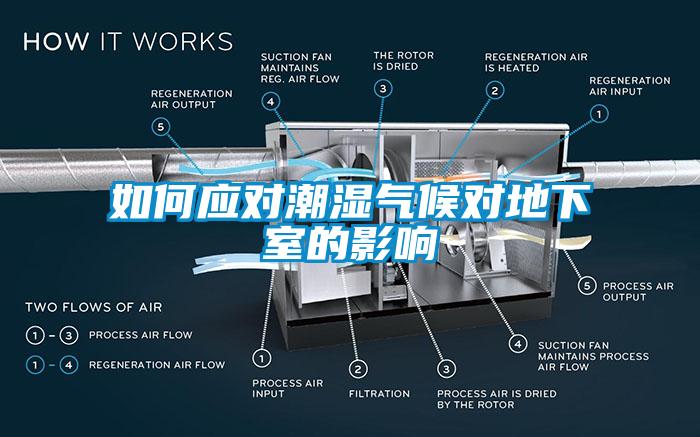 如何應對潮濕氣候?qū)Φ叵率业挠绊?></div>
								<div   id=