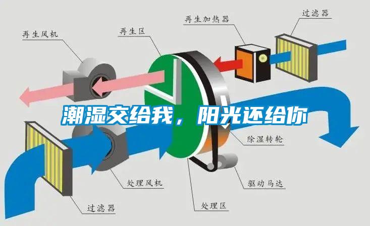 潮濕傷于無形，除濕機(jī)來防范