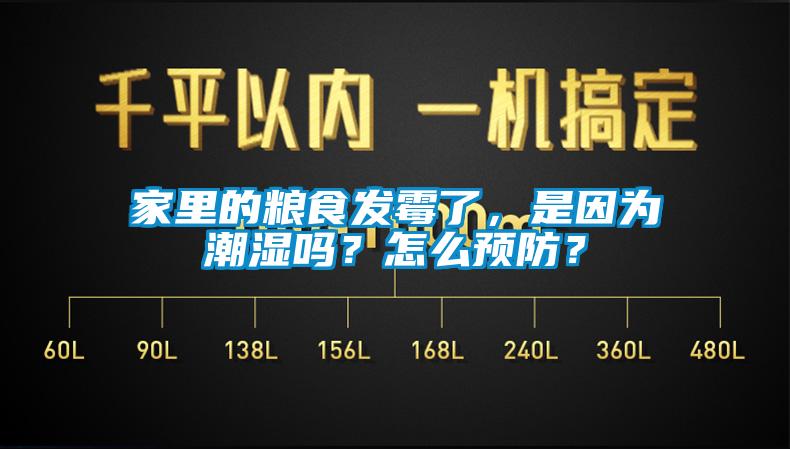 家里的糧食發(fā)霉了，是因?yàn)槌睗駟?？怎么預(yù)防？