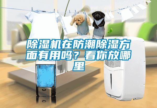 除濕機(jī)在防潮除濕方面有用嗎？看你放哪里