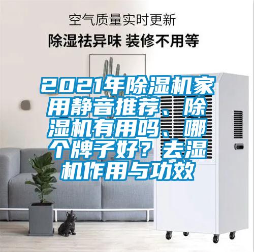 2021年除濕機家用靜音推薦、除濕機有用嗎、哪個牌子好？去濕機作用與功效