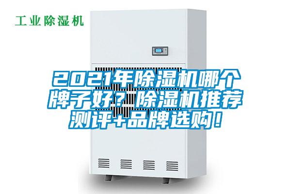 2021年除濕機哪個牌子好？除濕機推薦測評+品牌選購！