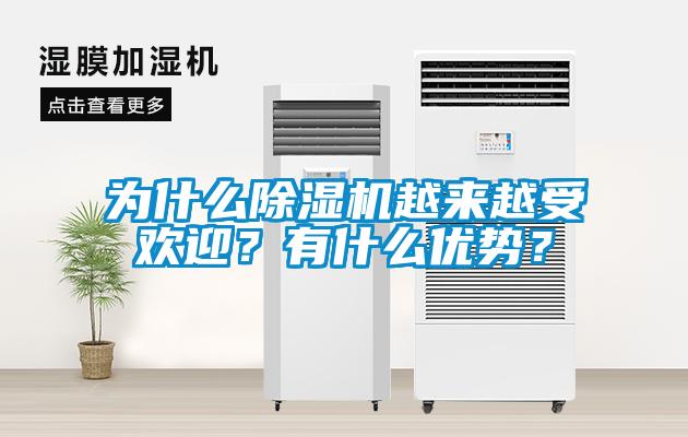 為什么除濕機越來越受歡迎？有什么優(yōu)勢？