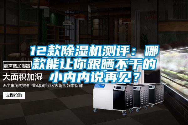 12款除濕機(jī)測評：哪款能讓你跟曬不干的小內(nèi)內(nèi)說再見？