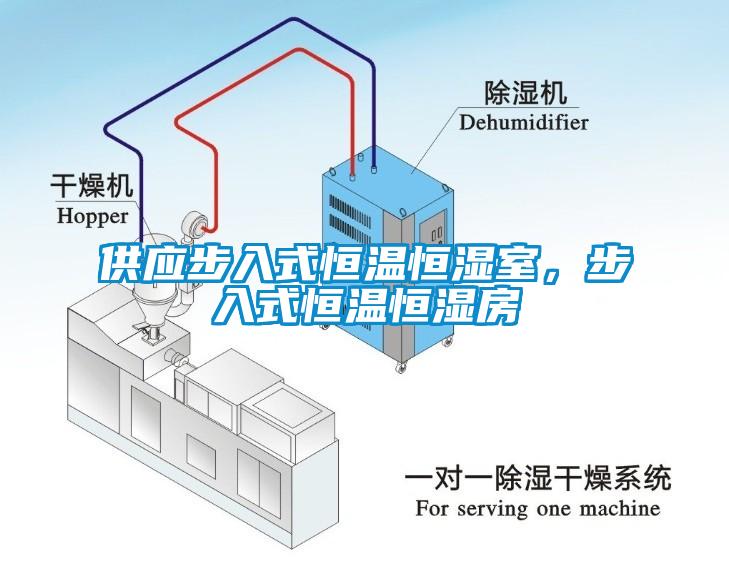 供應(yīng)步入式恒溫恒濕室，步入式恒溫恒濕房