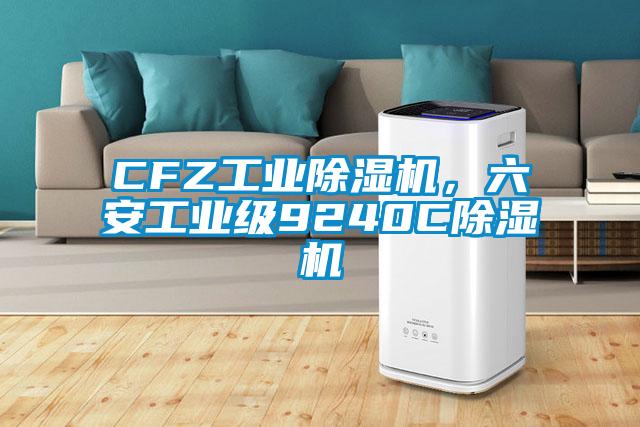 CFZ工業(yè)除濕機(jī)，六安工業(yè)級9240C除濕機(jī)