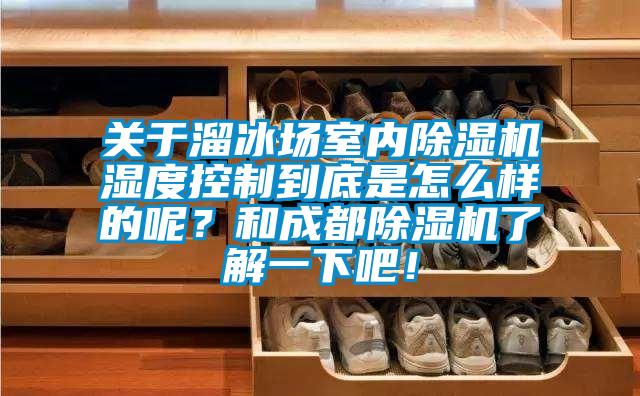 關于溜冰場室內(nèi)除濕機濕度控制到底是怎么樣的呢？和成都除濕機了解一下吧！