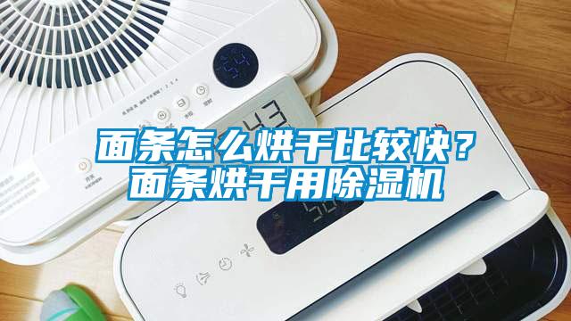 面條怎么烘干比較快？面條烘干用除濕機(jī)