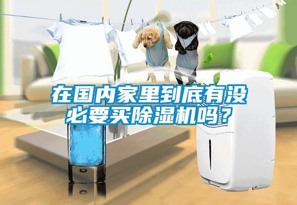 在國內(nèi)家里到底有沒必要買除濕機(jī)嗎？