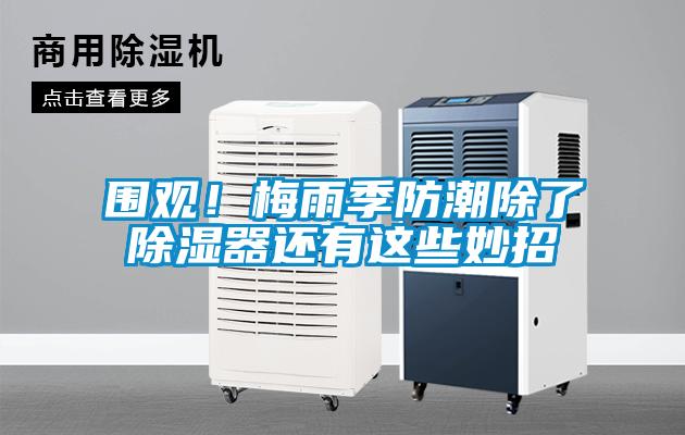 圍觀！梅雨季防潮除了除濕器還有這些妙招