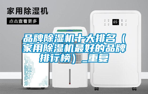 品牌除濕機十大排名（家用除濕機最好的品牌排行榜）_重復