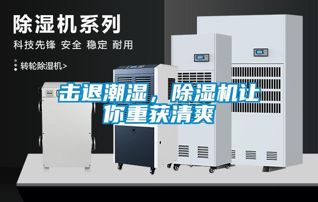 擊退潮濕，除濕機(jī)讓你重獲清爽