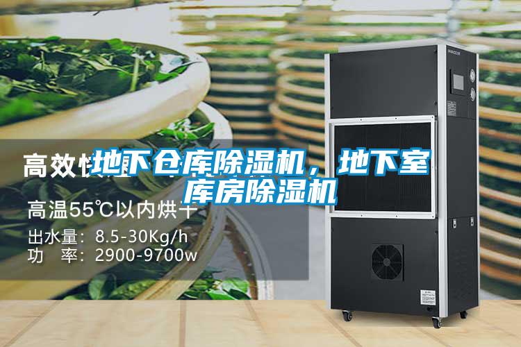 地下倉(cāng)庫(kù)除濕機(jī)，地下室?guī)旆砍凉駲C(jī)