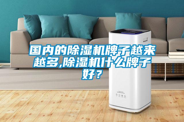 國(guó)內(nèi)的除濕機(jī)牌子越來(lái)越多,除濕機(jī)什么牌子好？