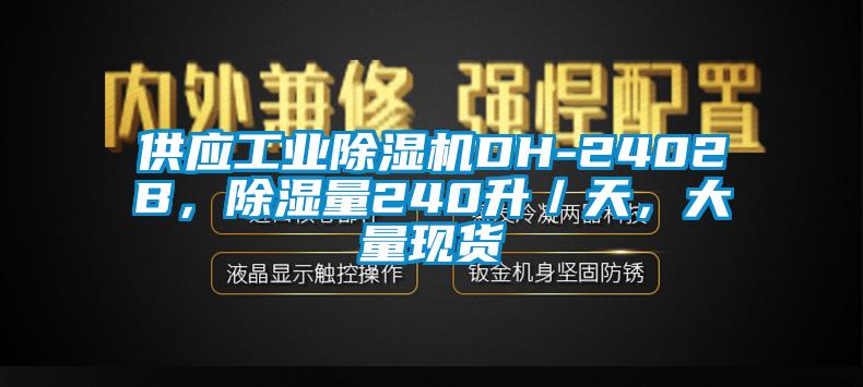 供應(yīng)工業(yè)除濕機(jī)DH-2402B，除濕量240升／天，大量現(xiàn)貨