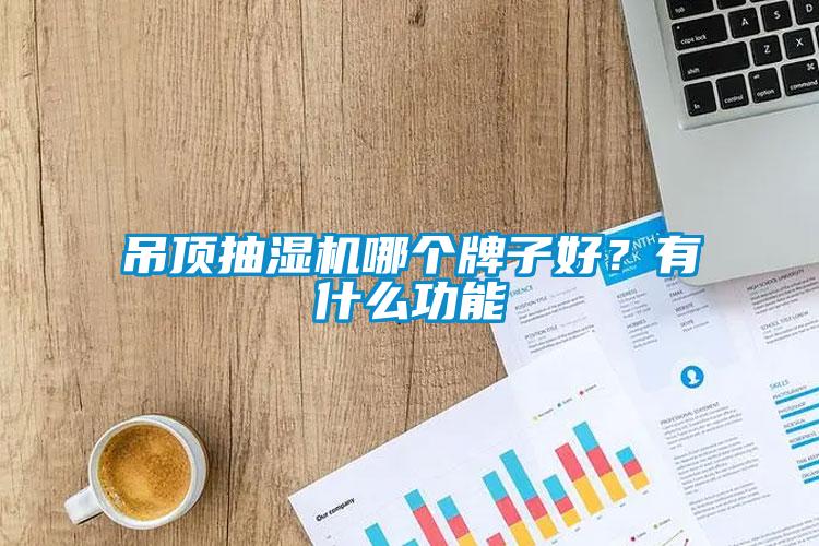 吊頂抽濕機哪個牌子好？有什么功能