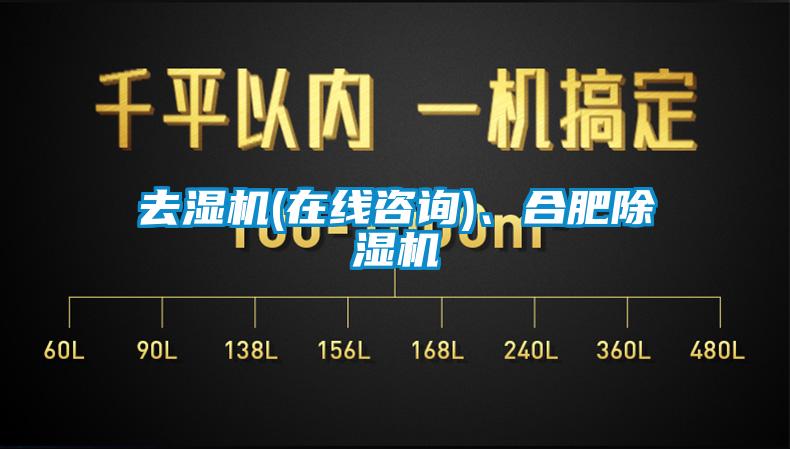 去濕機(在線咨詢)、合肥除濕機