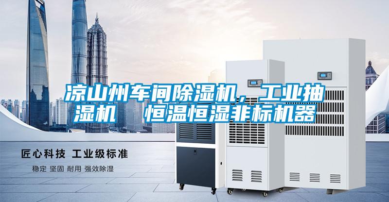 涼山州車間除濕機(jī)，工業(yè)抽濕機(jī)  恒溫恒濕非標(biāo)機(jī)器