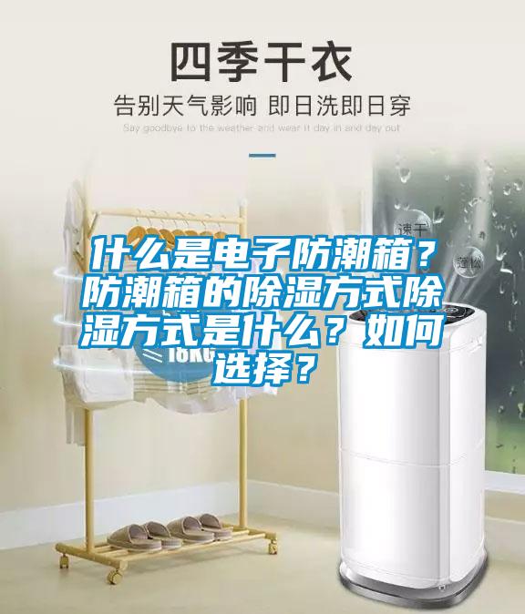 什么是電子防潮箱？防潮箱的除濕方式除濕方式是什么？如何選擇？