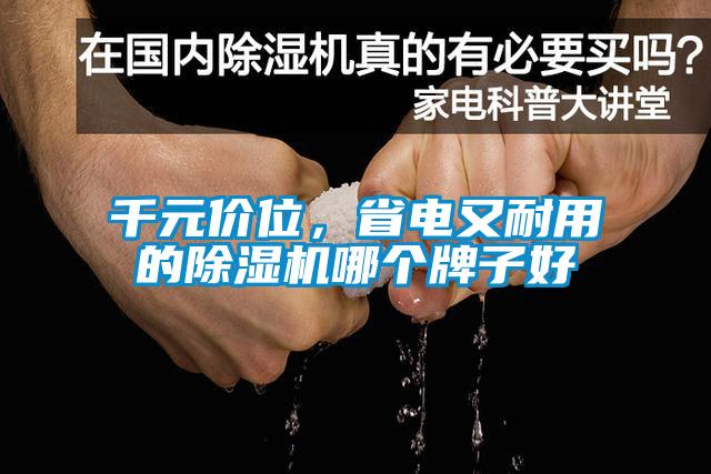 千元價位，省電又耐用的除濕機(jī)哪個牌子好