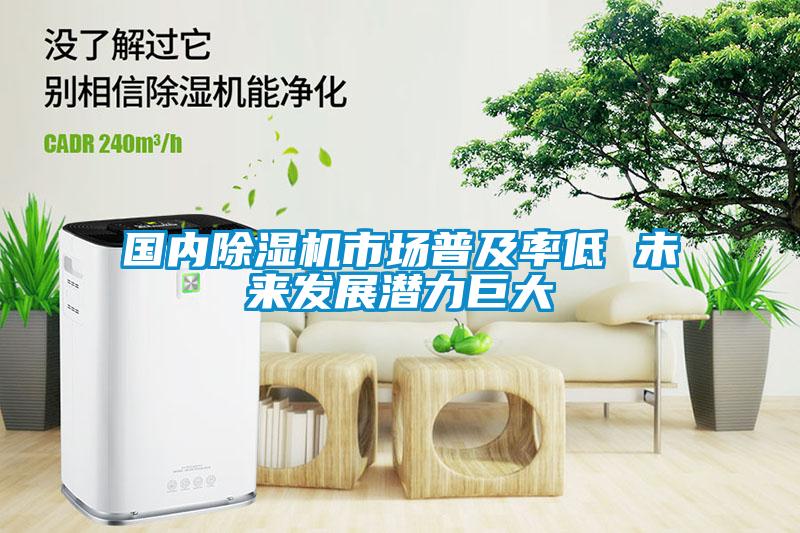 國內(nèi)除濕機(jī)市場(chǎng)普及率低 未來發(fā)展?jié)摿薮?/></p>
						    <p style=
