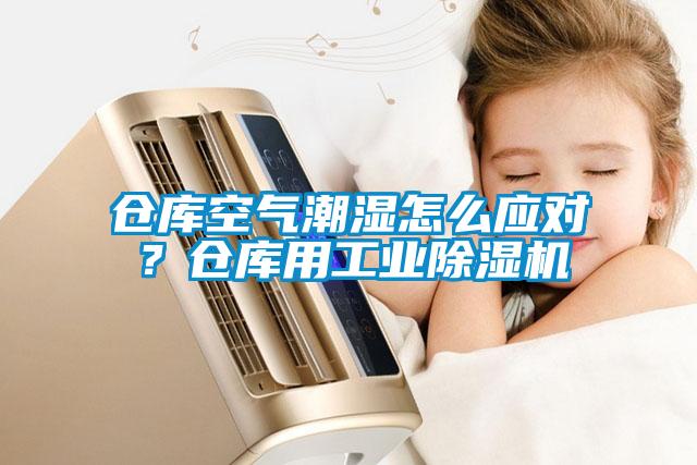 倉庫空氣潮濕怎么應對？倉庫用工業(yè)除濕機