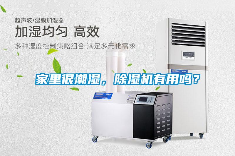 家里很潮濕，除濕機有用嗎？