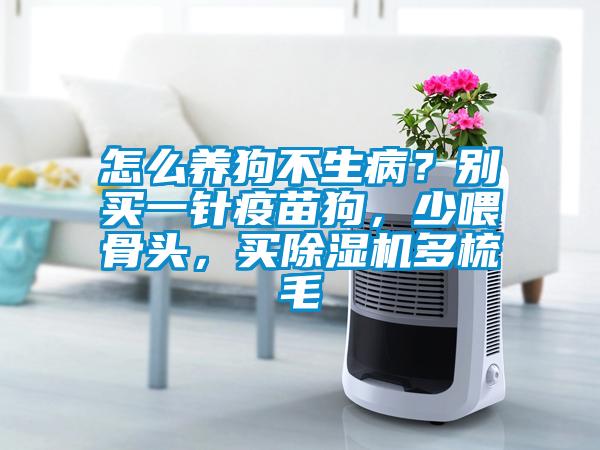 怎么養(yǎng)狗不生病？別買一針疫苗狗，少喂骨頭，買除濕機多梳毛