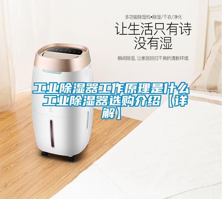 工業(yè)除濕器工作原理是什么 工業(yè)除濕器選購(gòu)介紹【詳解】