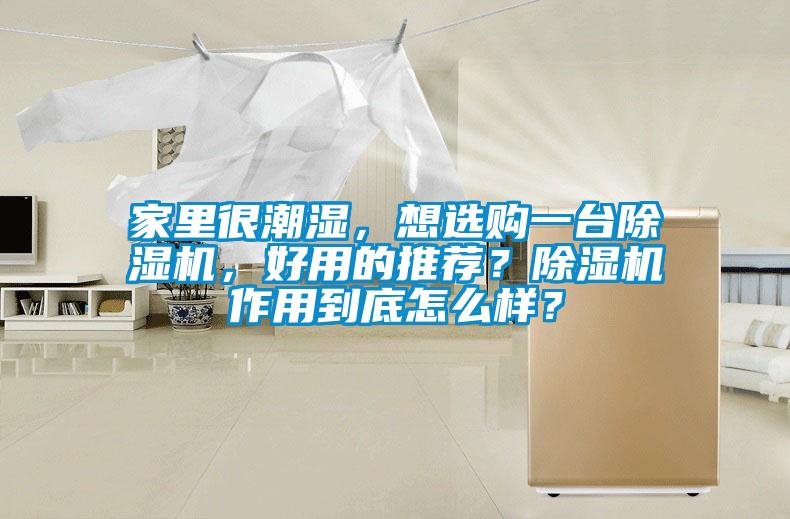 家里很潮濕，想選購一臺除濕機，好用的推薦？除濕機作用到底怎么樣？