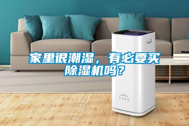 家里很潮濕，有必要買除濕機嗎？