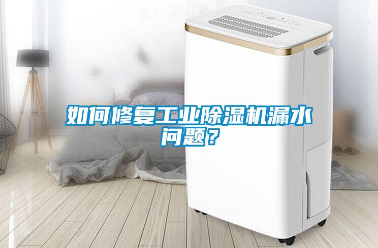 如何修復工業(yè)除濕機漏水問題？