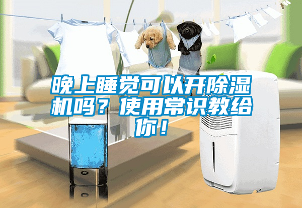 晚上睡覺可以開除濕機嗎？使用常識教給你！