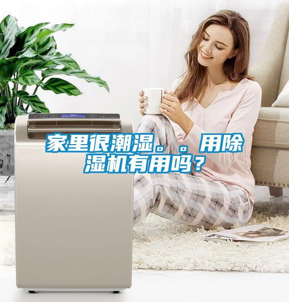 家里很潮濕。。用除濕機(jī)有用嗎？