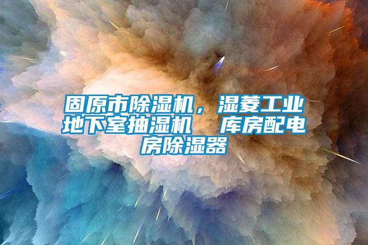 固原市除濕機，濕菱工業(yè)地下室抽濕機  庫房配電房除濕器