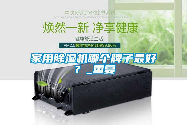 家用除濕機哪個牌子最好？_重復