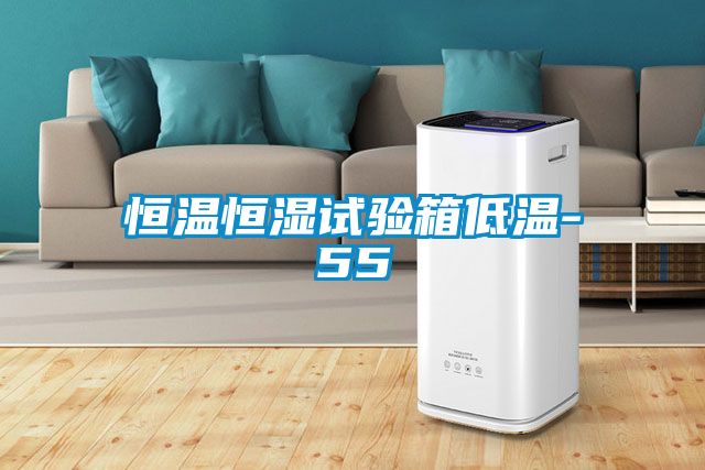 恒溫恒濕試驗箱低溫-55℃